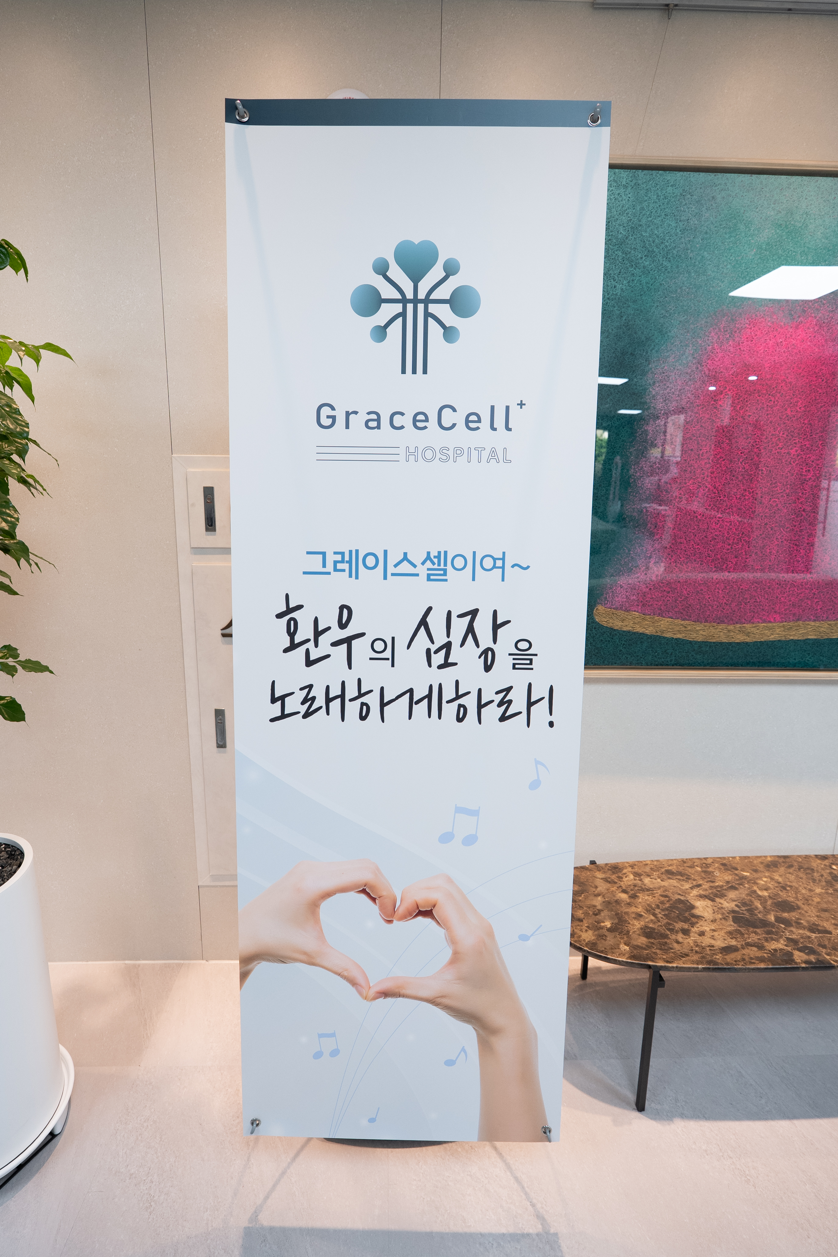 그레이스셀 요양병원