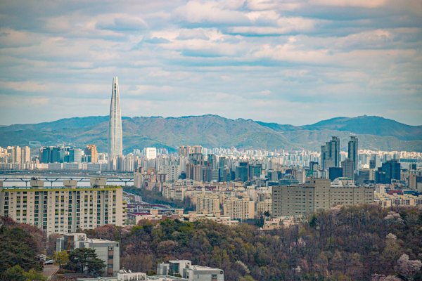 도심속숲