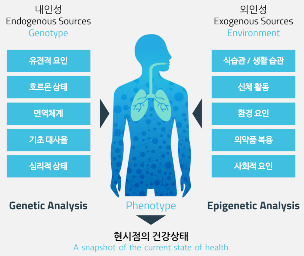 유전자 치료 이미지